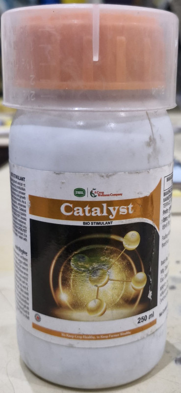 Catalyst