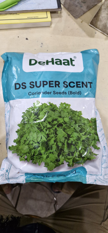 DS SUPER SCENT ( Coriander Seed bold )