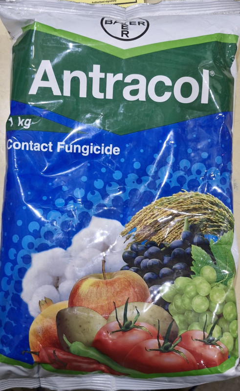 Antracol