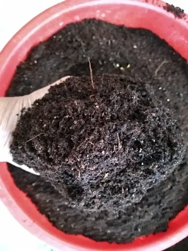 Dark Brown To Black Organic Composting Culture, Powder