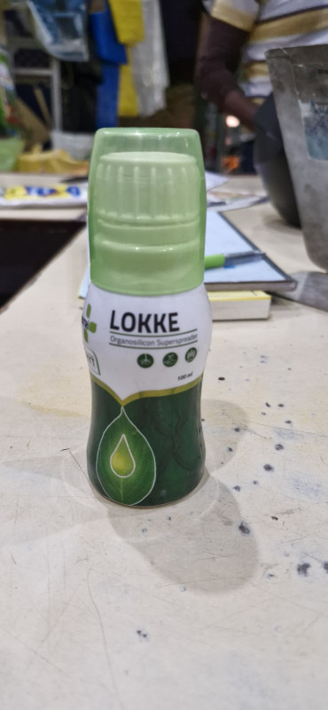 Lokke