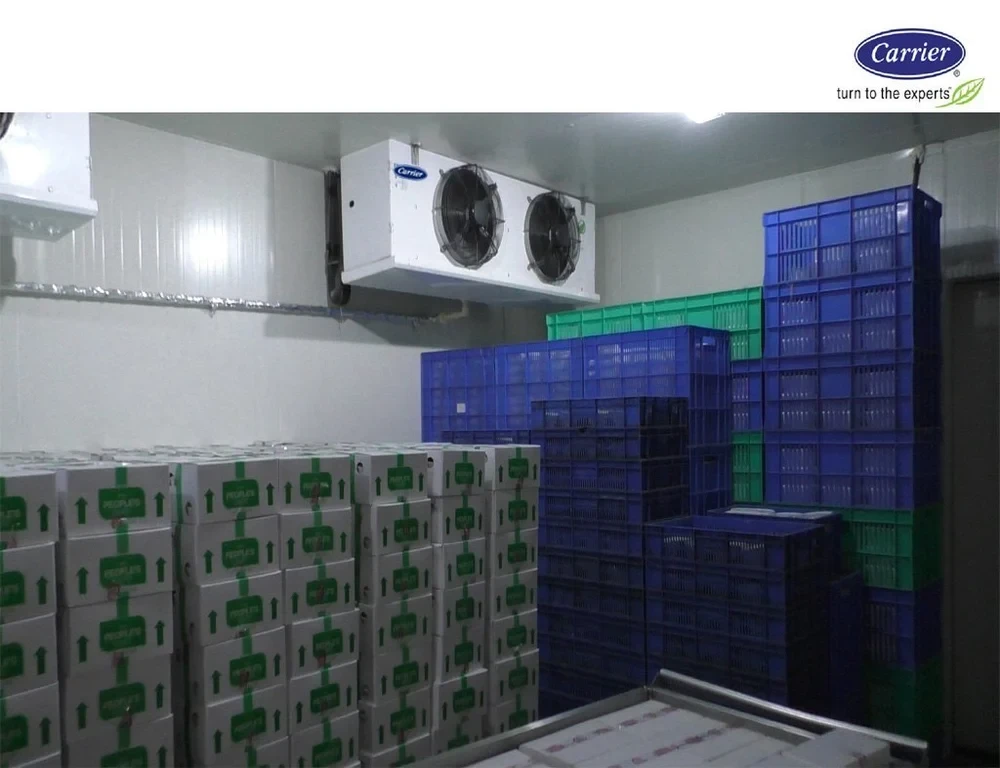 Cold Storage System