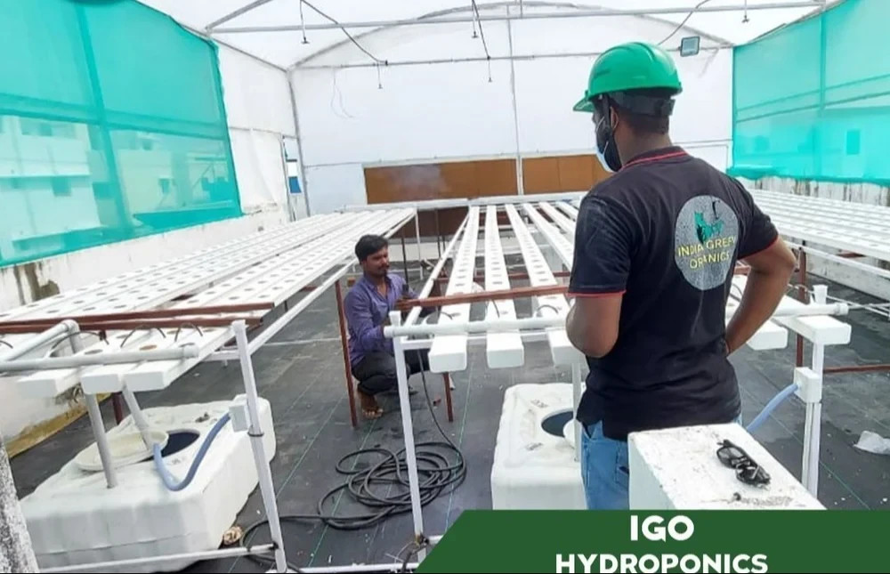 UPVC Rectangular Hydroponic Systems, Capacity: 50 To 1000 Plants