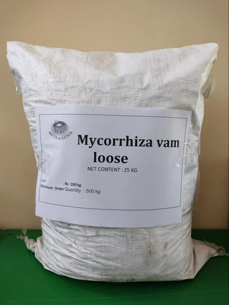 Powder Loose Mycorrhizal Bio Fertilizer