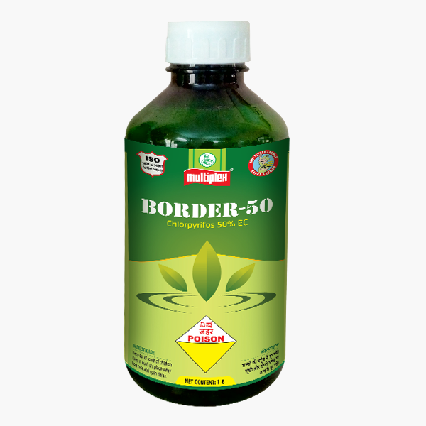 Multiplex Border-50