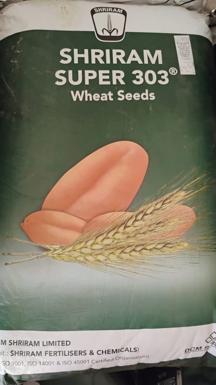 Shriram 303 (Wheat Seed)