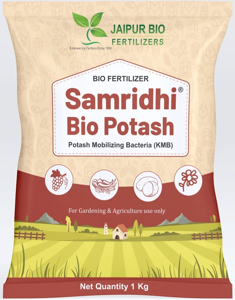 Samridhi Bio Potash (Potassium Mobilizing Bacteria) Bio Fertilizer