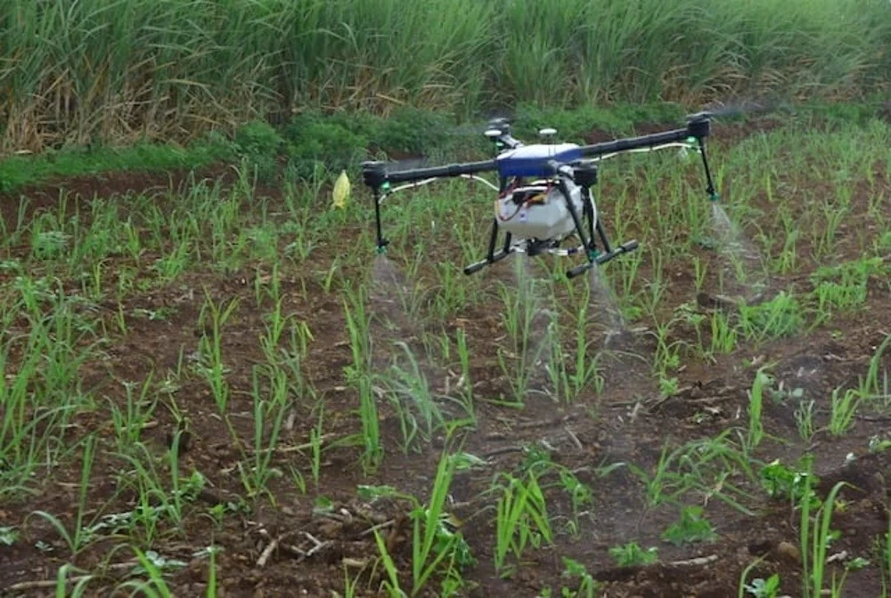 6 Axis Hexacopter Agricultural Spraying Crop Protection Service, For Agriculture & Farming, Capacity: 10L