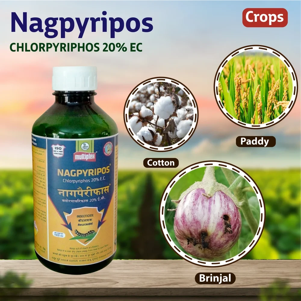 Chlorpyriphos20%EC 100MlX100(Nagpyriphos