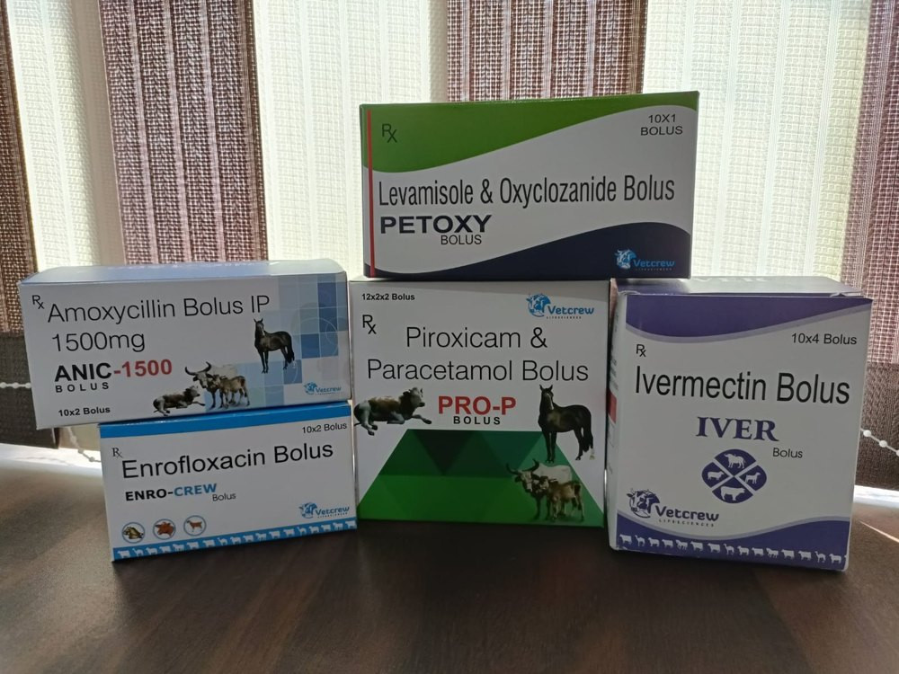 Veterinary Bolus, For Clinical, Packaging Type: Box