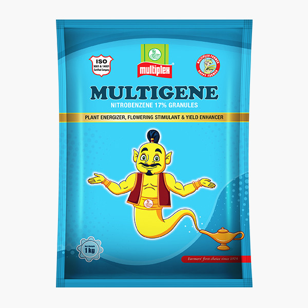 Multiplex Multigene