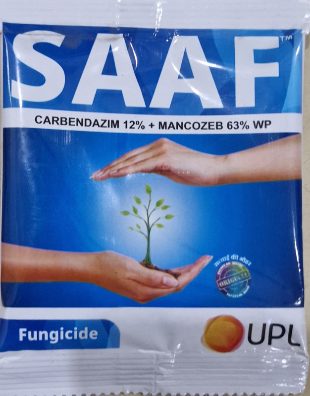 Saaf