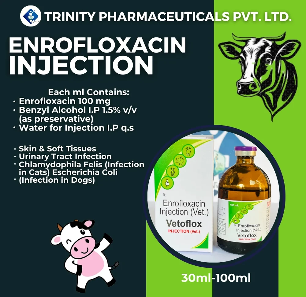 100ml Enrofloxacin VETERINARY INJECTION THIRD PARTY MANUFACTURING