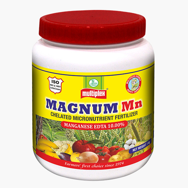 Multiplex Magnum Mn