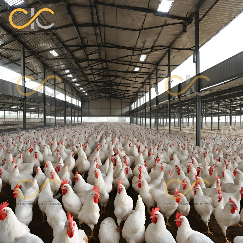 Steel Prefabricated Poultry Farm Shed Service