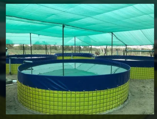 PVC Biofloc Fish Farming Tank