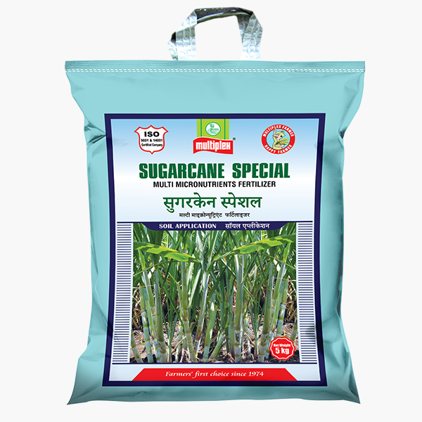 Multiplex Sugarcane Special