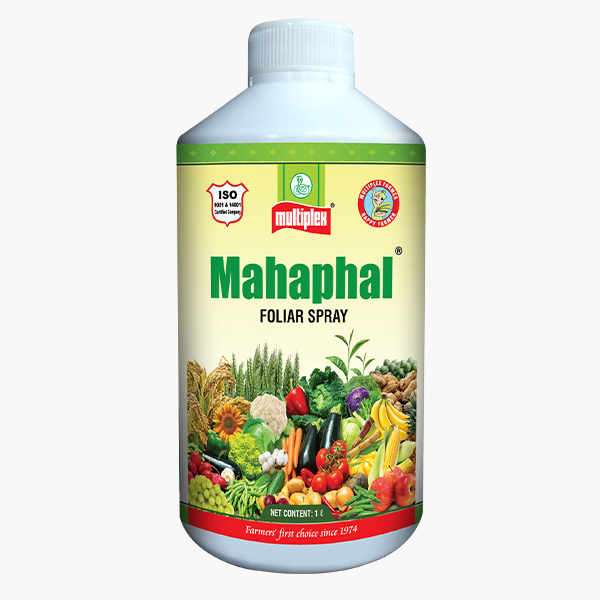 Multiplex Mahaphal