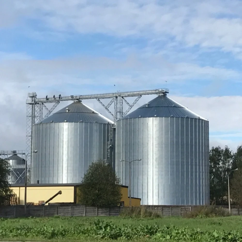 Fly Ash Stainless Steel Grain Storage Silo