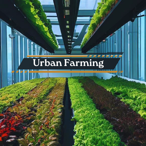  Urban Farming