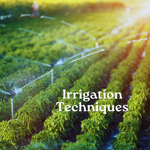 Irrigation Techniques