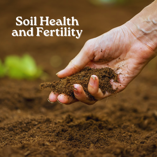 Soil Health and Fertility