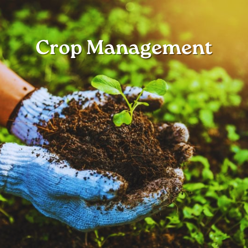 Crop Management