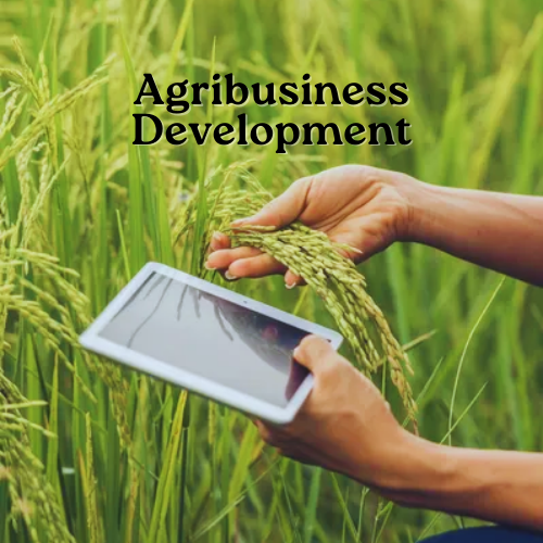 Agribusiness Development