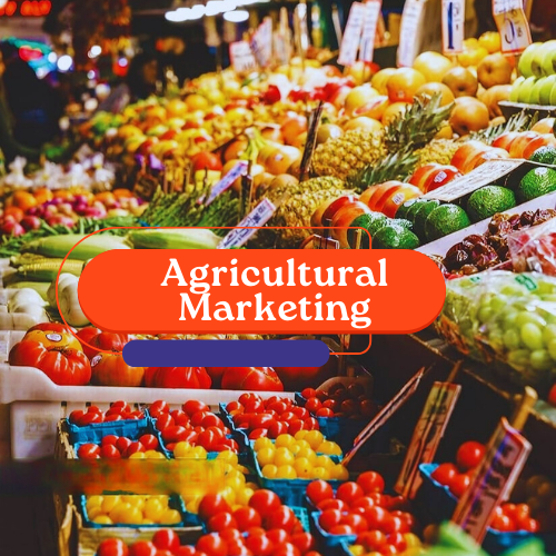 Agricultural Marketing