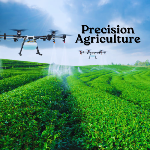 Precision Agriculture