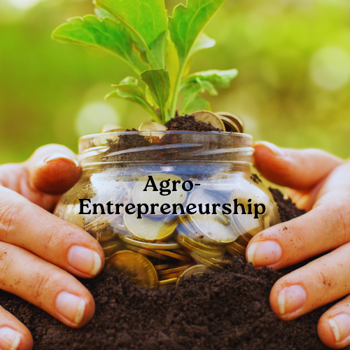 Agro-Entrepreneurship