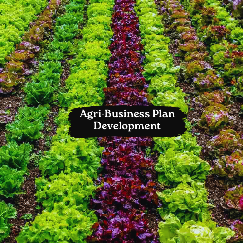 Agri-Business Plan Development