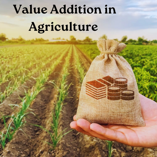 Value Addition in Agriculture