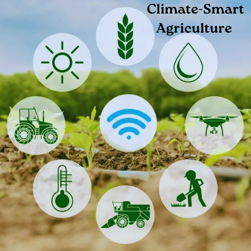  Climate-Smart Agriculture