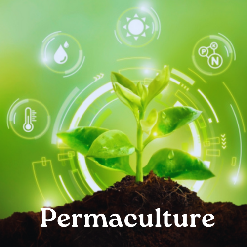 Permaculture