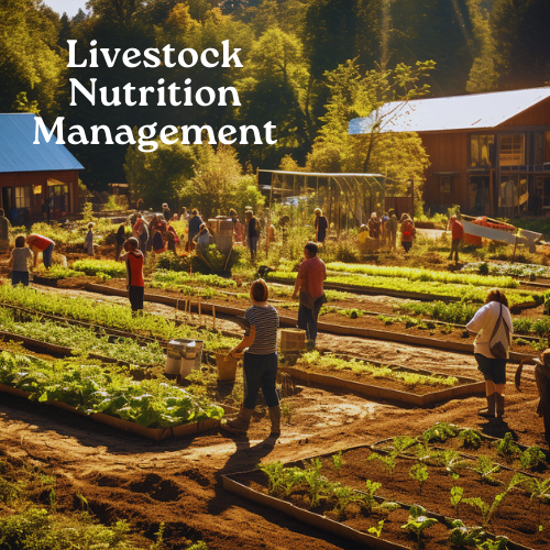 Livestock Nutrition Management