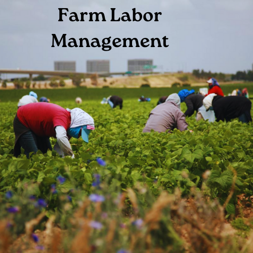 Farm Labor Management