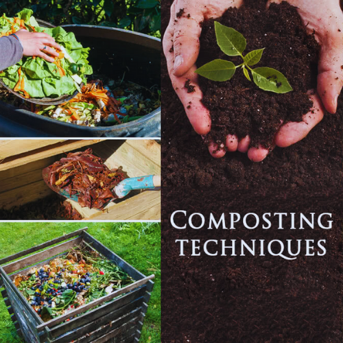 Composting Techniques