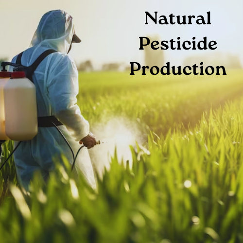 Natural Pesticide Production