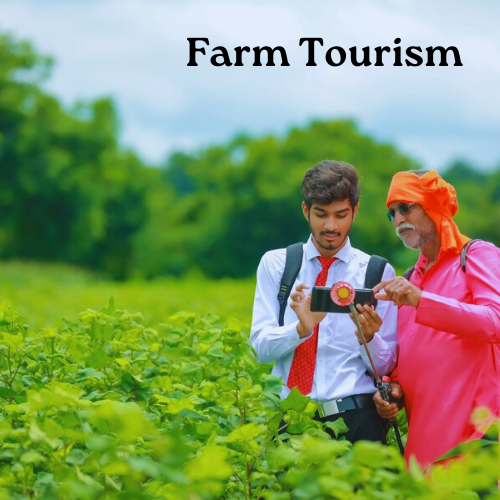 Farm Tourism